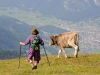 vacherandonneurensemble