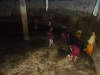 Nuns cleaning in the water tank.